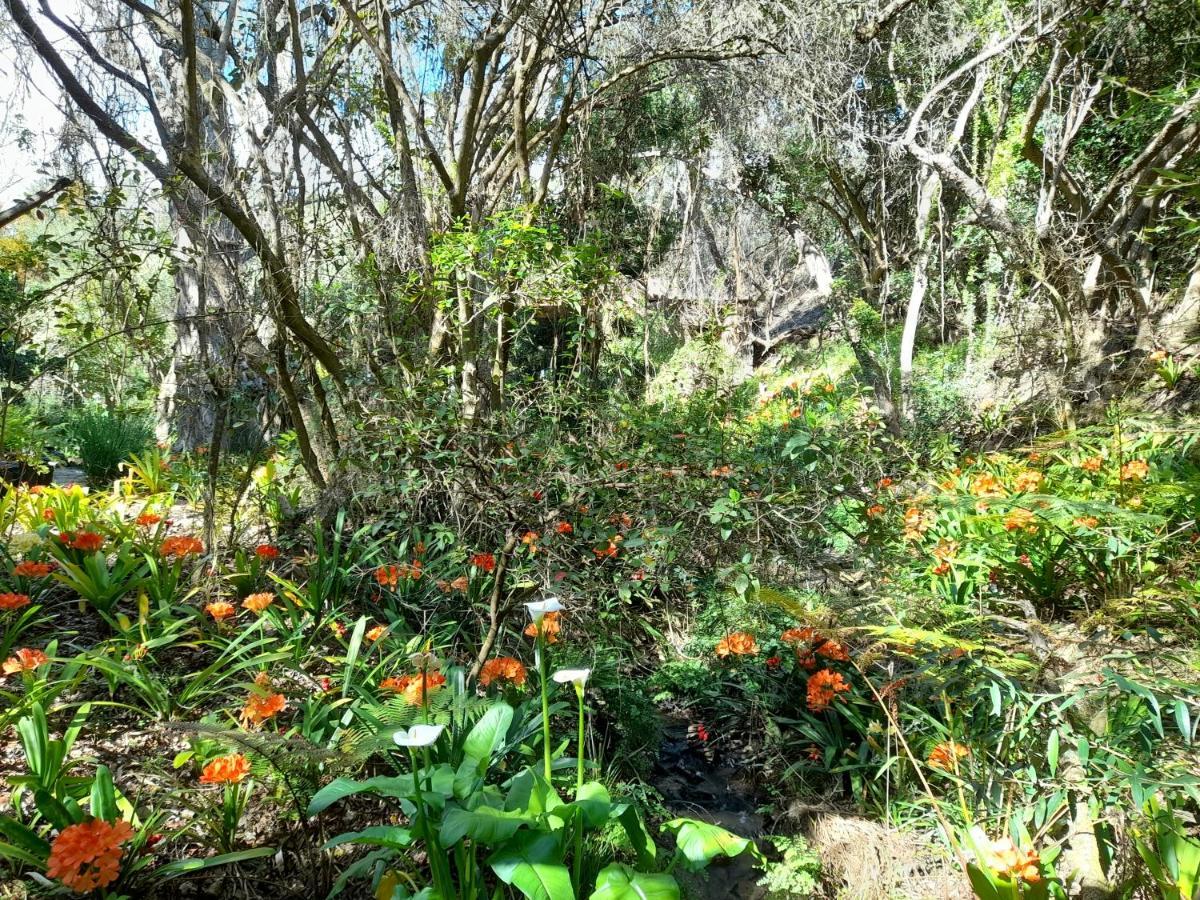 Muffets At Kransfontein Estate Lägenhet Stilbaai Exteriör bild